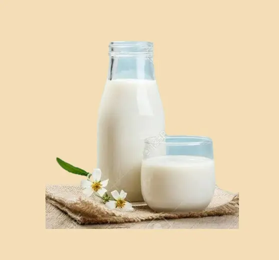 Pasteurized Whole Milk 